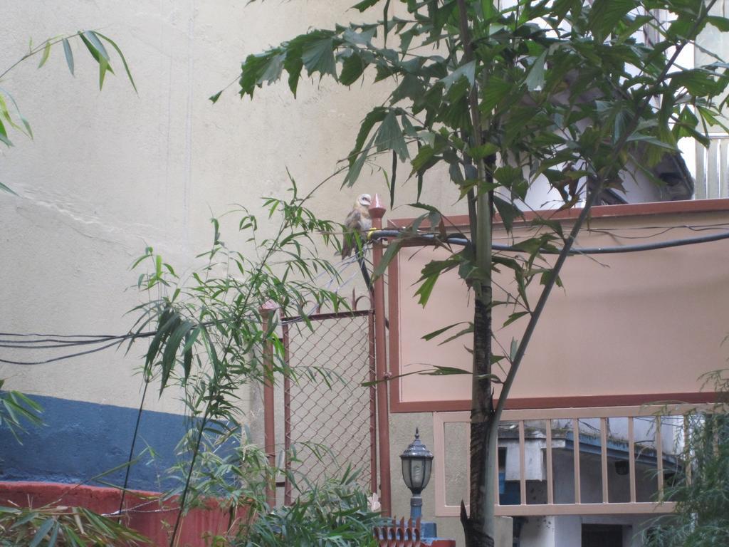 Tasi Dhargey Inn Kathmandu Bagian luar foto